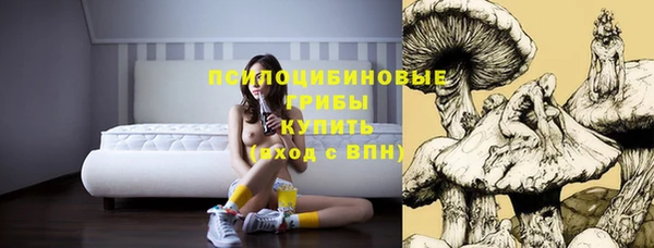 МДПВ Алексеевка